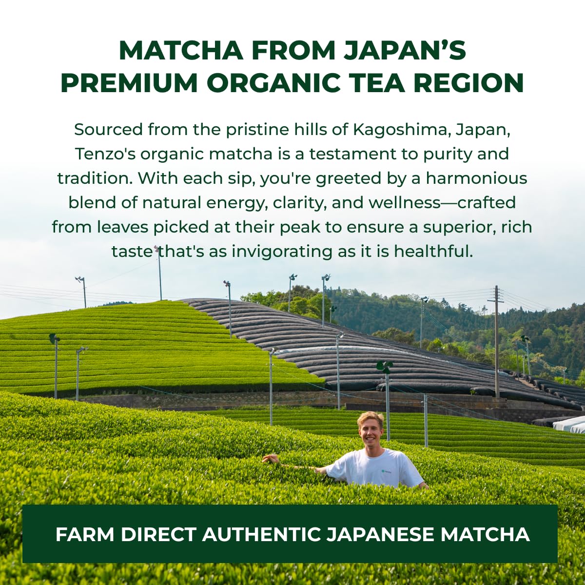 Tenzo Organic Ceremonial Matcha