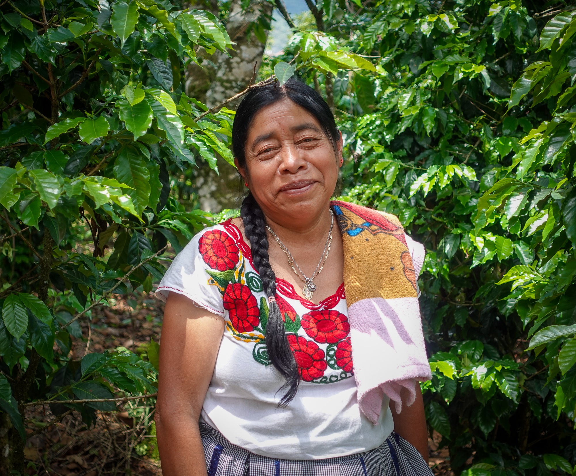 Guatemala Ella Todos Santos