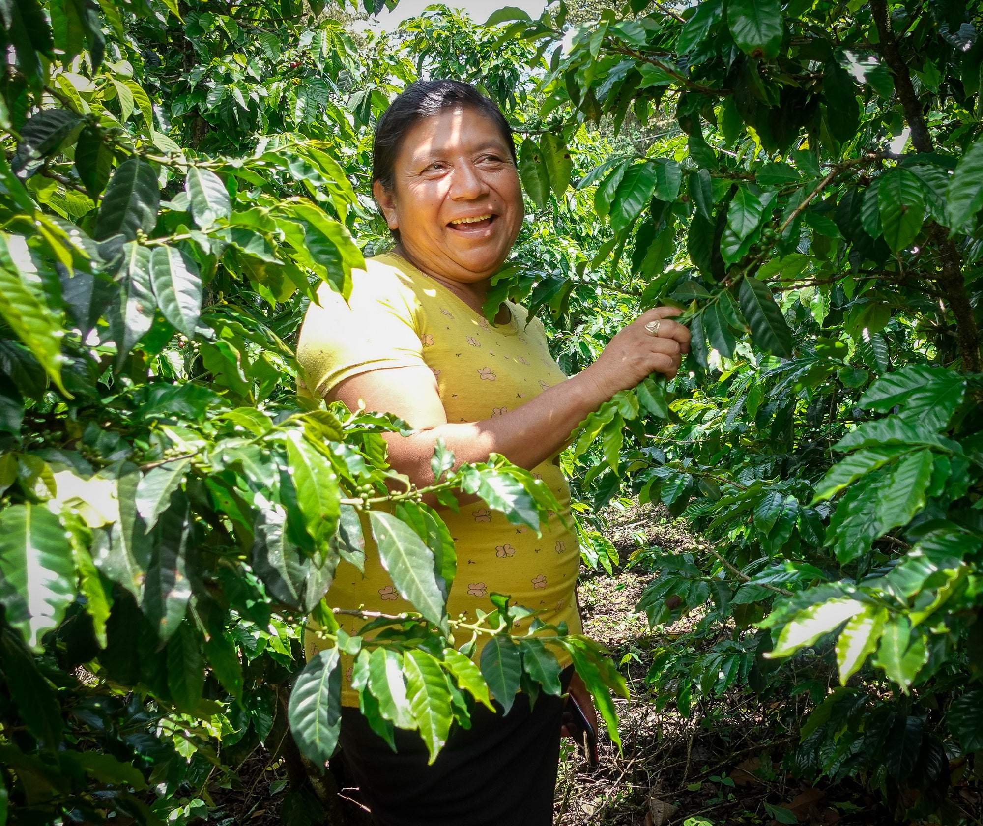 Guatemala Ella Todos Santos