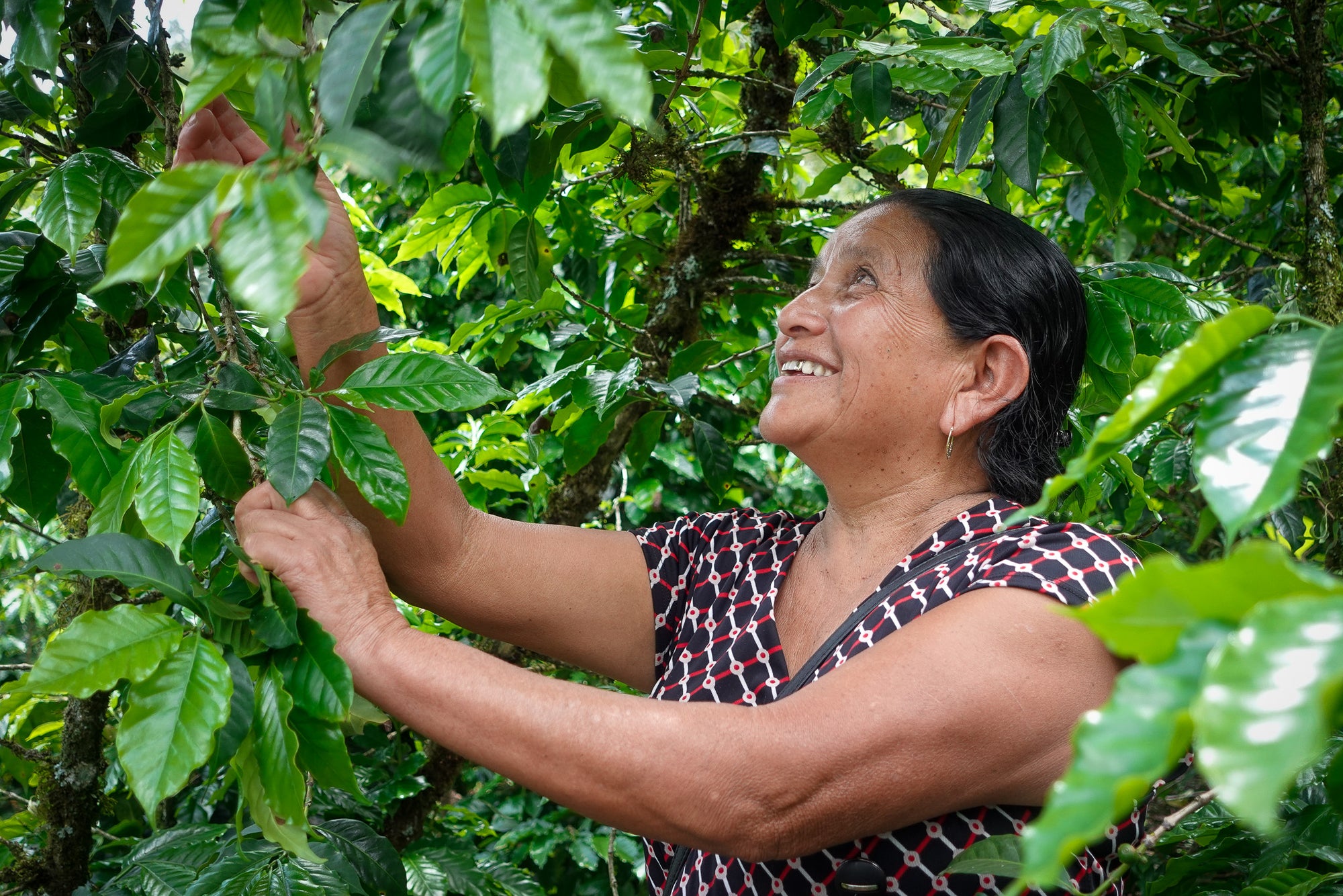 Guatemala Ella Todos Santos