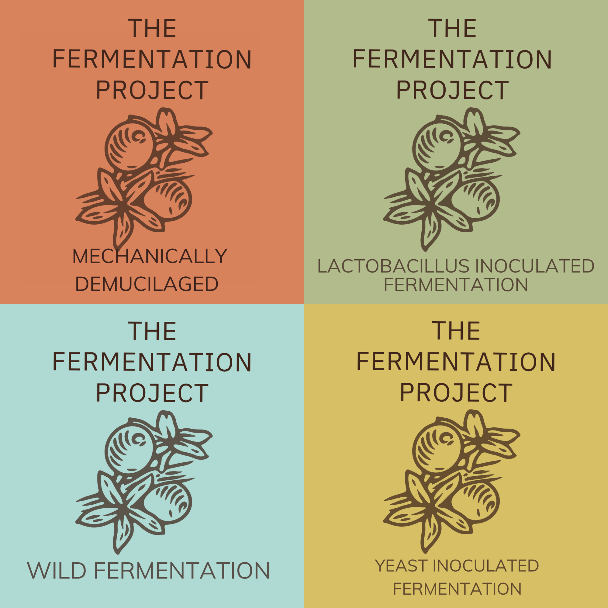 The Fermentation Project Kit (Pre-order)
