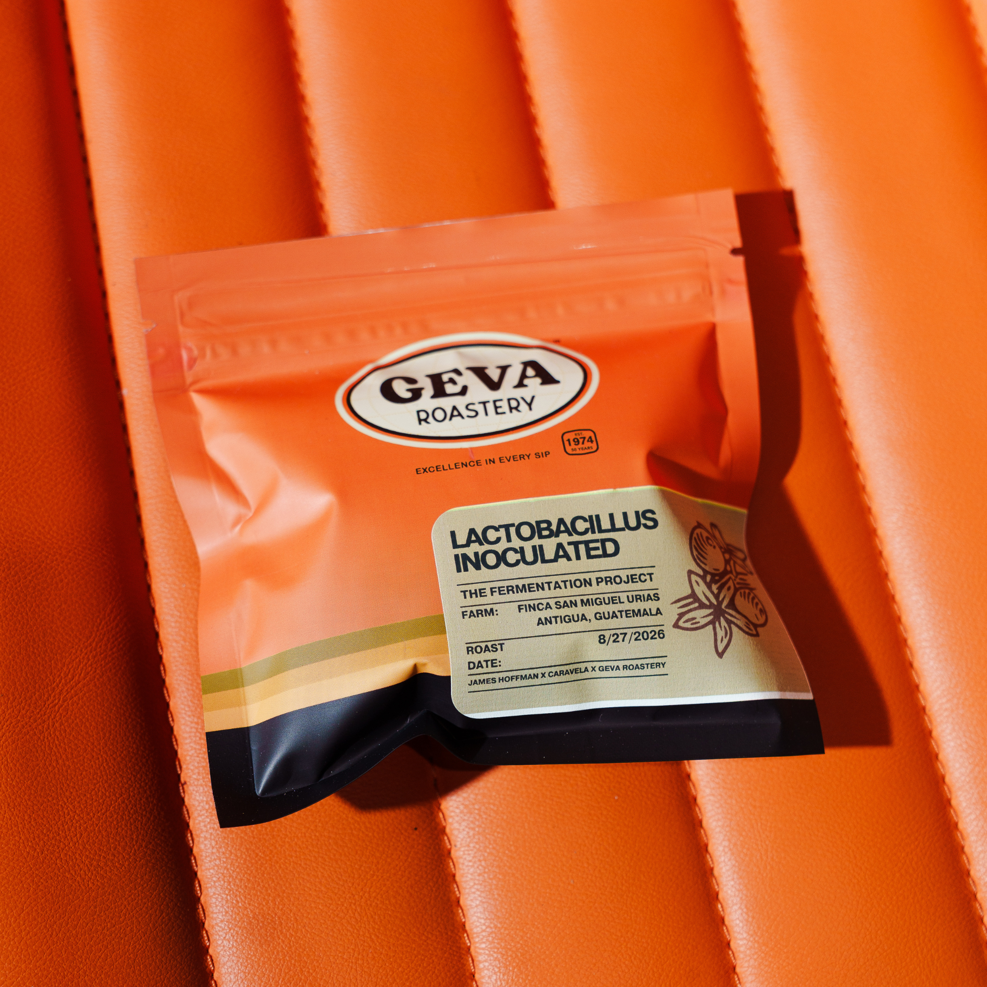(Pre-Order) The Fermentation Project Kit