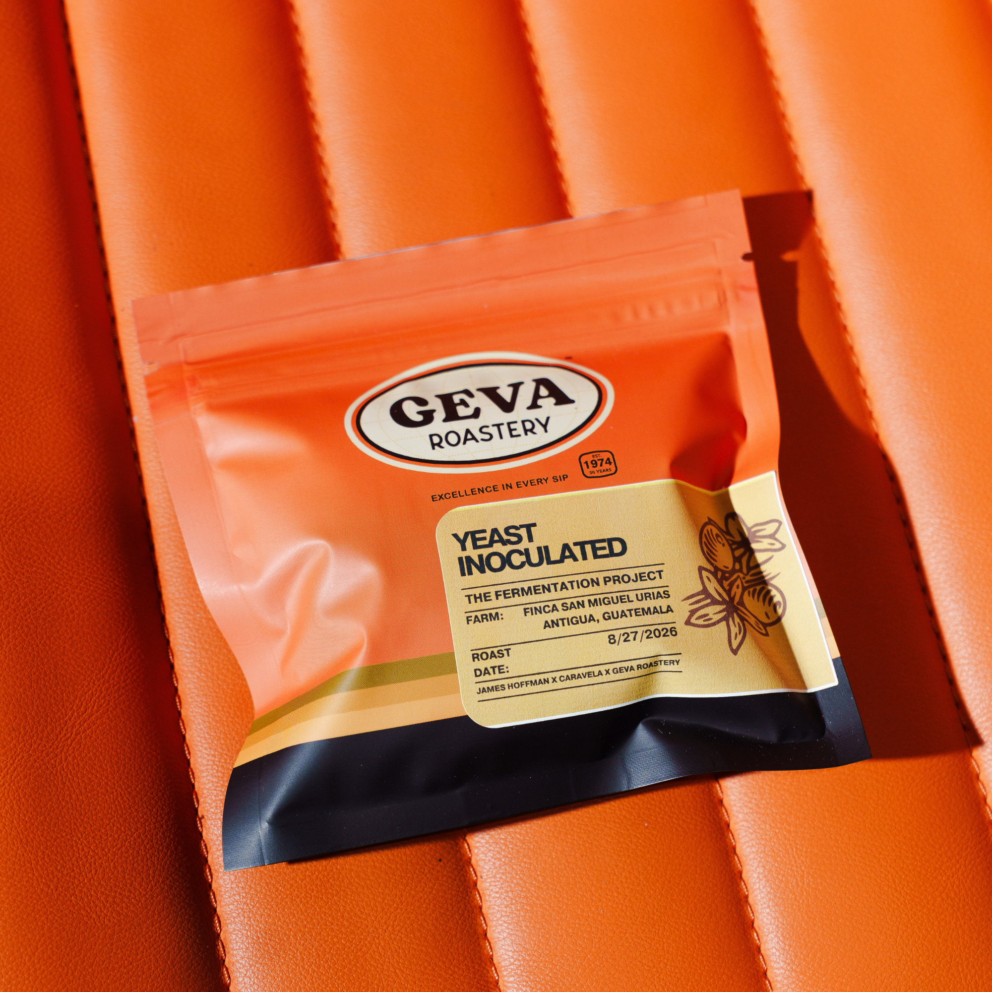 (Pre-Order) The Fermentation Project Kit