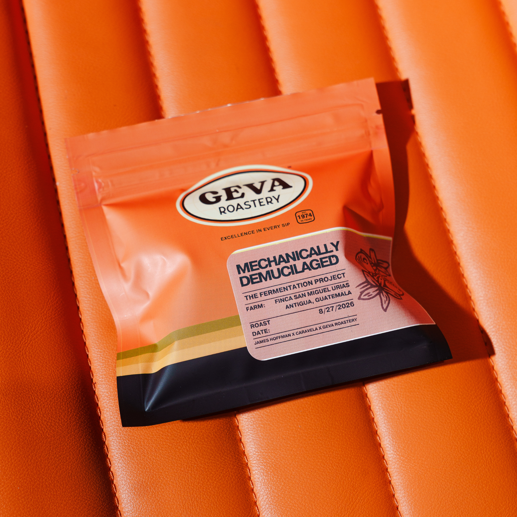 (Pre-Order) The Fermentation Project Kit