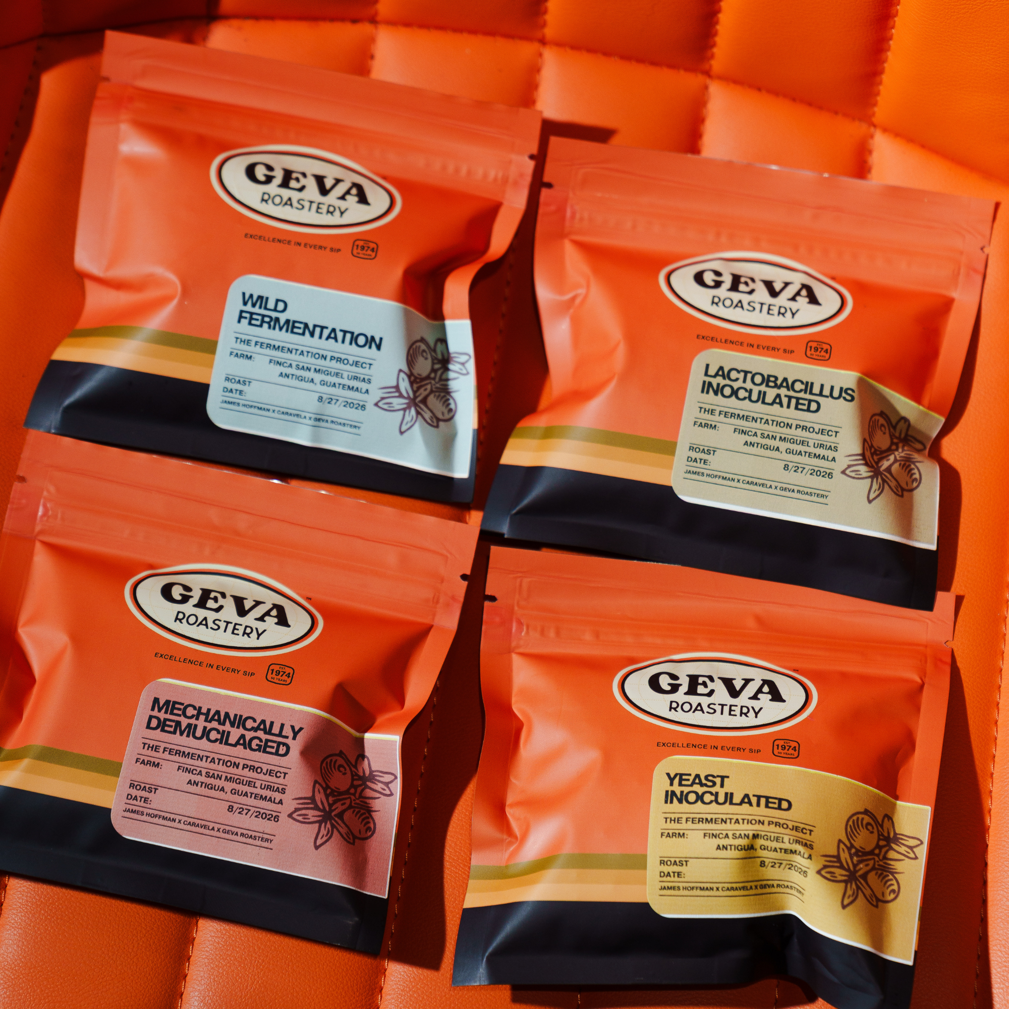 (Pre-Order) The Fermentation Project Kit