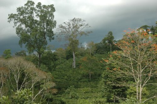 Costa Rica Rio Negro