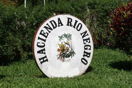 Costa Rica Rio Negro