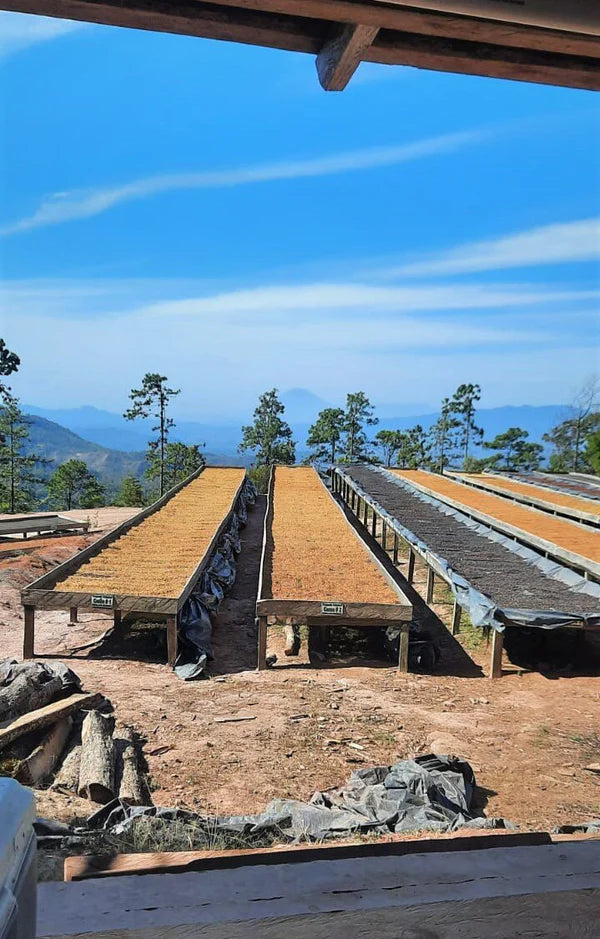Honduras San Vicente