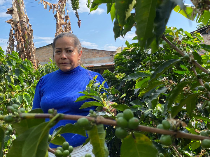 Colombia Sugar Cane Decaf