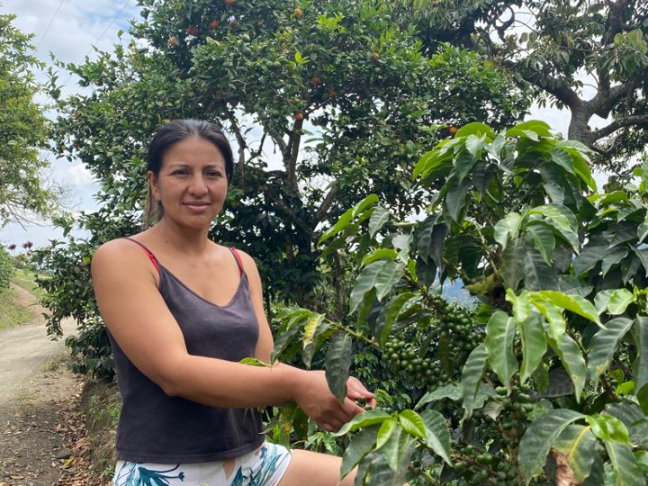 Colombia Sugar Cane Decaf