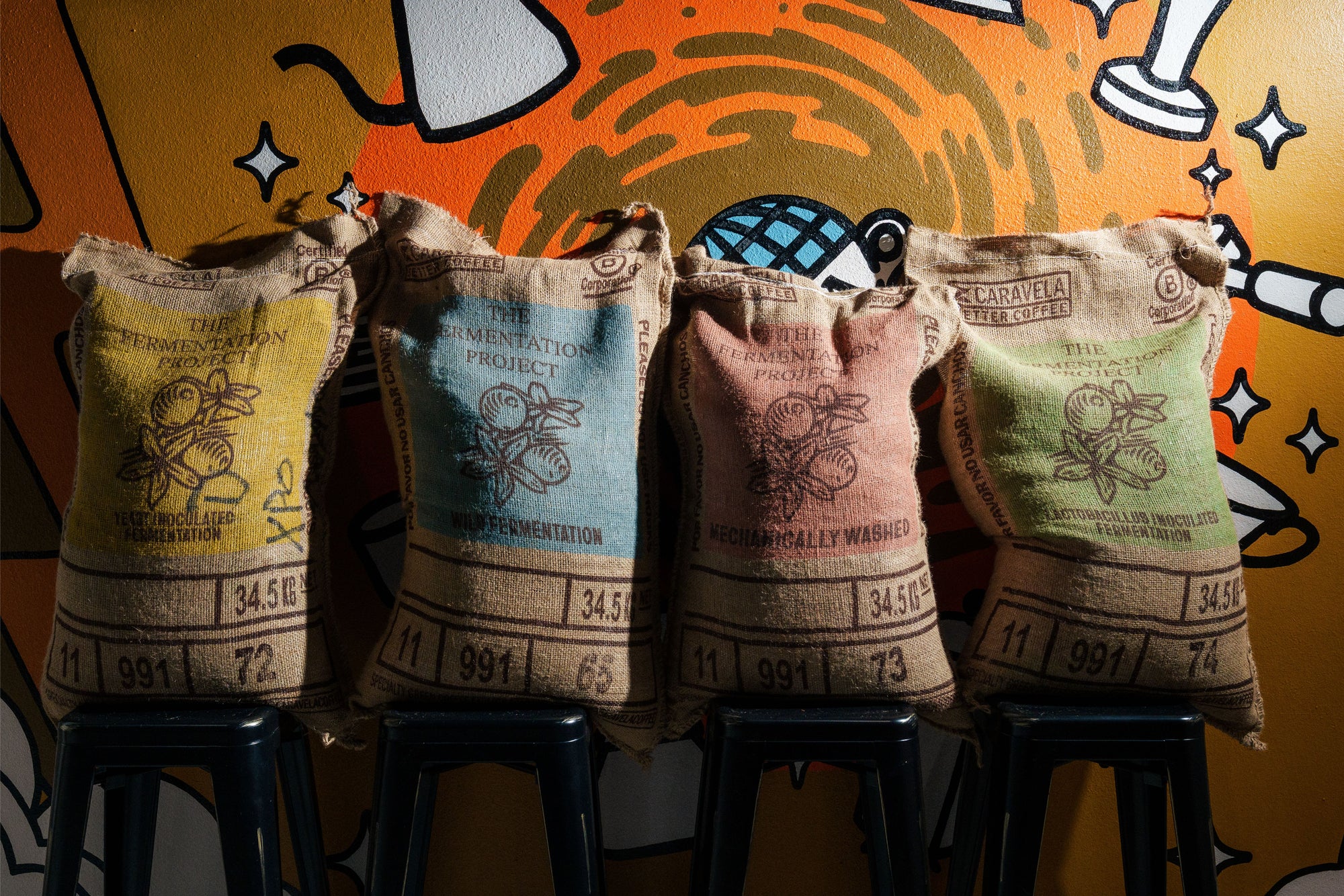 (Pre-Order) The Fermentation Project Kit